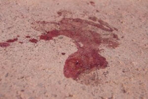 Mulher é morta com golpe de faca pelo companheiro na zona rural de Paranaíba