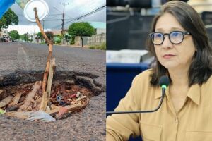 Luiza cobra reativação do tapa-buraco 