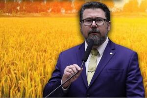 Pollon cobrou explicações do MEC 