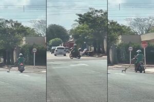 Motociclista &eacute; flagrada arrastando doguinho com corda em cidade de MS (v&iacute;deo)