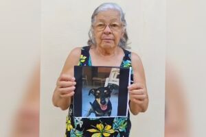 Idosa procura por cachorro desaparecido há quatro dias no Jardim Pênfigo (vídeo)