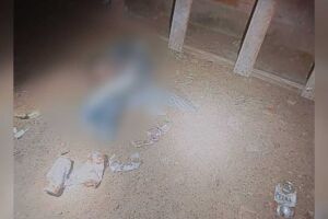 Jovem 'sentiu vontade de matar', atraiu idoso e enterrou vítima no quintal, no Portal Caiobá (vídeo)