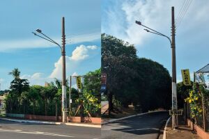 L&acirc;mpadas queimadas h&aacute; um ano deixam avenida escura e floricultura &eacute; invadida duas vezes