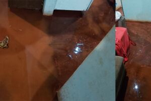 Estragos do temporal em Jaraguari