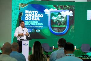 Riedel apresentou ações adotadas em MS 