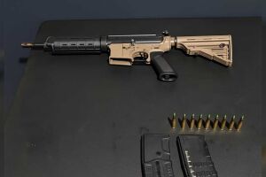 Arma utilizada pelo PM