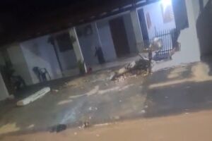 Foto da destruição causada pelo motorista