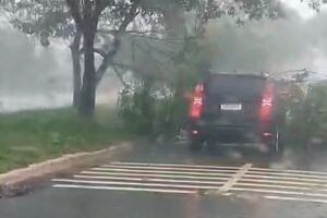 Chuva derruba árvore e atinge carro na Avenida Mato Grosso (vídeo)