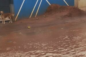 Linha de ônibus no Parque Lageado fica intransitável durante chuva