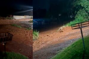 Sem drenagem e esquecidos pela prefeitura, moradores do Colúmbia sofrem com enxurradas (vídeo)