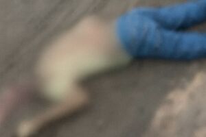 O acidente aconteceu às margens da rodovia