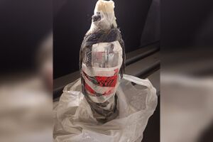 A confusão aconteceu na noite de ontem