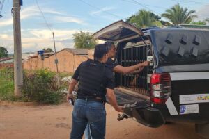 Homem é preso preventivamente pela DAM