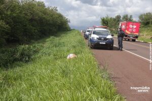 Mulher encontrada amarrada na BR-262 foi morta com tiros na cabeça, aponta delegado