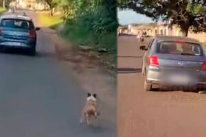De partir o coração! Cão corre atrás de carro ao ser abandonado no Jardim Radialista (vídeo)