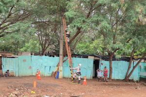 Árvore que caiu em novembro ainda está sendo retirada pela prefeitura