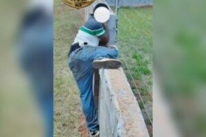 A prisão foi realizada pela Derf