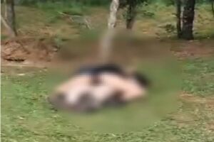 Momento &iacute;ntimo em parque revolta fam&iacute;lias e Guarda Municipal &eacute; chamada (v&iacute;deo)