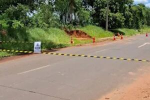 Trabalhador &eacute; alvo de ataque de abelhas durante escava&ccedil;&atilde;o em Aquidauana