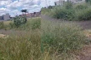 Matagal e sujeira tomam conta de pra&ccedil;a e revoltam moradora em Campo Grande (v&iacute;deo)