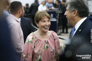 Tereza Cristina assumir&aacute; presid&ecirc;ncia de conselho do agroneg&oacute;cio da Fiesp