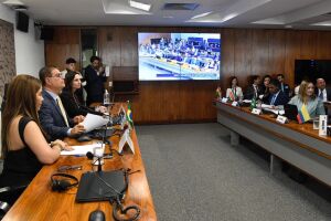 Senador diz que decis&atilde;o &eacute; ben&eacute;fica ao Brasil 