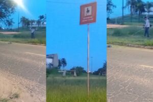 Cansado de esperar pela prefeitura, morador faz limpeza de canteiro no Jockey Clube (v&iacute;deo)