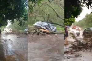&Aacute;rvore cai sobre carro e interdita avenida durante temporal em Campo Grande (v&iacute;deo)