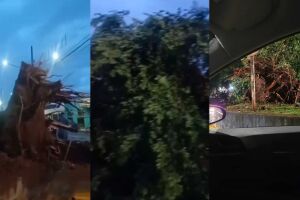 &Aacute;rvore cai durante temporal e destr&oacute;i carro estacionado em pra&ccedil;a no Coophasul (v&iacute;deo)