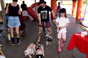 A&ccedil;&atilde;o solid&aacute;ria arrecada ra&ccedil;&otilde;es e produtos para ONGs de animais em Campo Grande