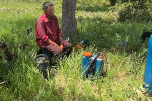 12 trabalhadores em situa&ccedil;&atilde;o an&aacute;loga &agrave; escravid&atilde;o s&atilde;o resgatados no Pantanal de MS