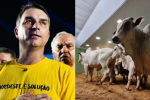 Fl&aacute;vio pode receber t&iacute;tulo de visitante ilustre 
