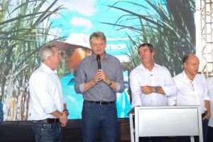 Gest&atilde;o Riedel celebra safra recorde 