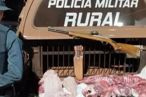 Homem &eacute; preso com carne de jacar&eacute; e javali, arma e muni&ccedil;&otilde;es na zona rural de Caarap&oacute;