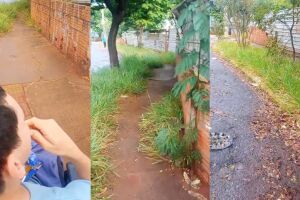 Cadeirante divide trajeto com matagal e buracos na regi&atilde;o leste de Campo Grande (v&iacute;deo)