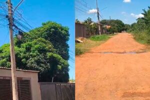 matagal no bairro S&atilde;o Conrado tem causado transtornos para a comunidade 