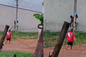 Morador frusta tentativa de furto de fia&ccedil;&atilde;o durante o dia 