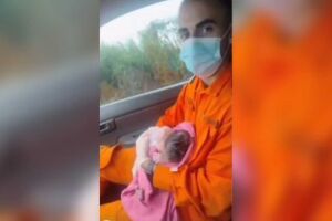 Estrada alagada atrasa resgate e beb&ecirc; nasce antes da chegada dos bombeiros em Miranda (v&iacute;deo)