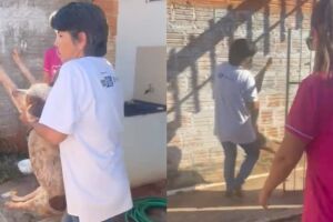 C&atilde;o &eacute; resgatado sem &aacute;gua, comida e amarrado pelo pesco&ccedil;o h&aacute; dias em Bataguassu (v&iacute;deo)