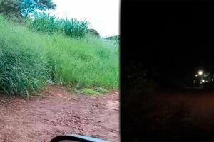 Matagal e falta de ilumina&ccedil;&atilde;o preocupam moradores  