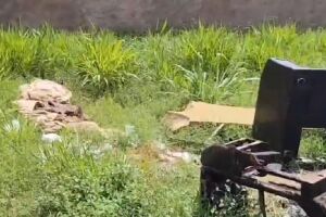 Entorno do Asilo no bairro Tiradentes est&aacute; abandonado, com mato e descarte irregular (v&iacute;deo)