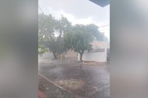 Chuva veio com ventos fortes 