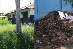 Escola tem matagal bem na frente 