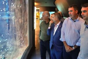 Fl&aacute;vio participa da abertura da Expogrande