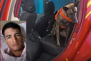 Buscas por jovem sumido em rio re&uacute;nem mergulhadores e c&atilde;o farejador em &Aacute;gua Clara