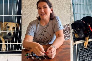 Projeto financia castra&ccedil;&otilde;es de animais com arrecada&ccedil;&atilde;o de tampinhas em Campo Grande