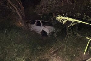Caminhonete capota e motorista &eacute; arremessado em ribanceira na BR-376