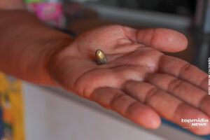 Homem tem alucina&ccedil;&atilde;o por uso de drogas e realiza disparos dentro de casa em Ponta Por&atilde; 