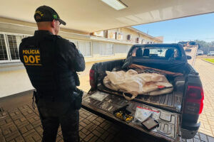 Paraguaio entra em confronto com o DOF depois de furto de caminhonete na fronteira e morre
