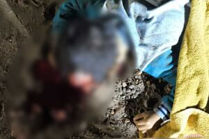 Crian&ccedil;a de 6 anos morre ao ser atropelada por carreta no Centro Oeste